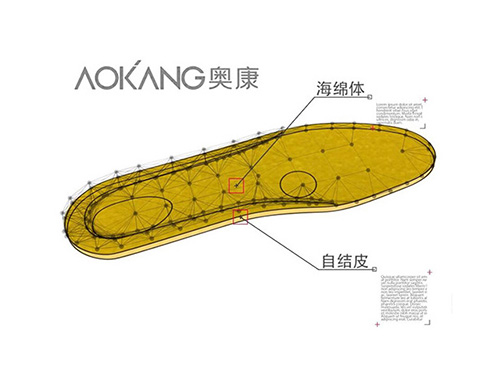 AOKANG 鞋垫 《康莱仕》图形动画/