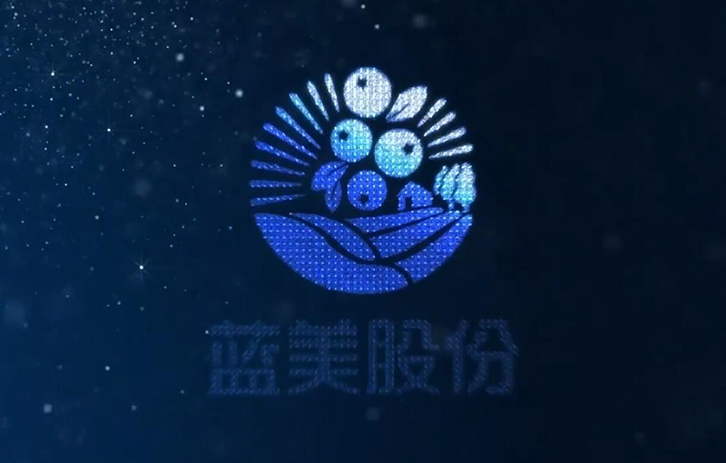 企业宣传片：浙江蓝